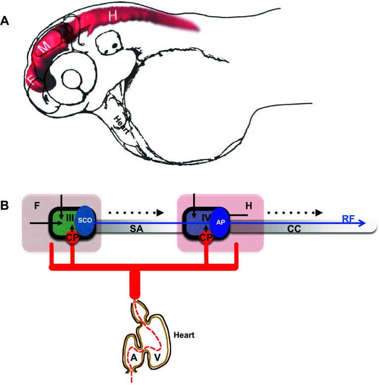 Fig. 1