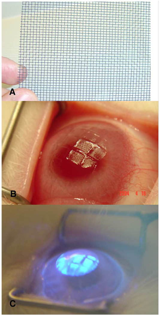 Fig. 1