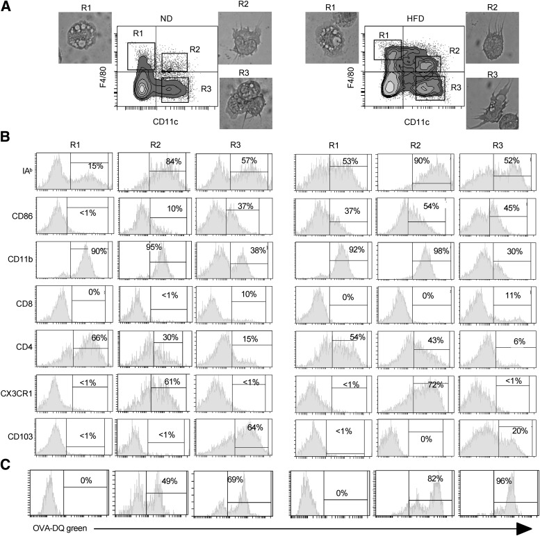 FIG. 3.