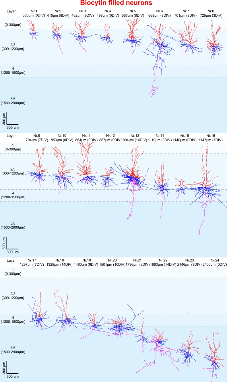 Figure 3.