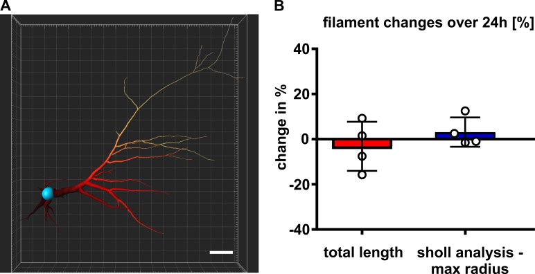 Figure 9—figure supplement 1.