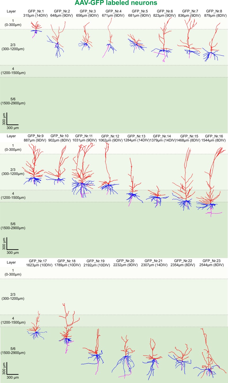 Figure 4.