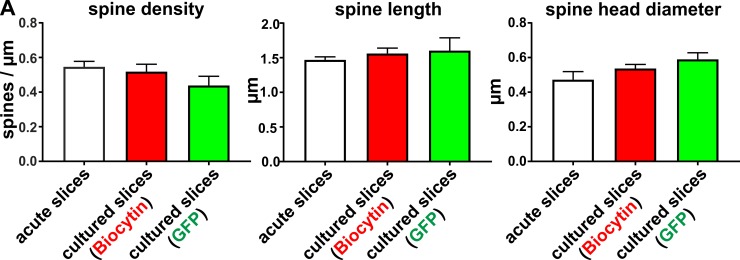 Figure 7—figure supplement 1.