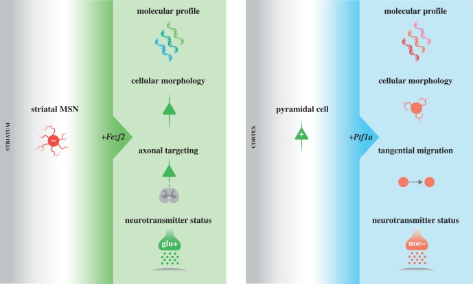 Figure 2.