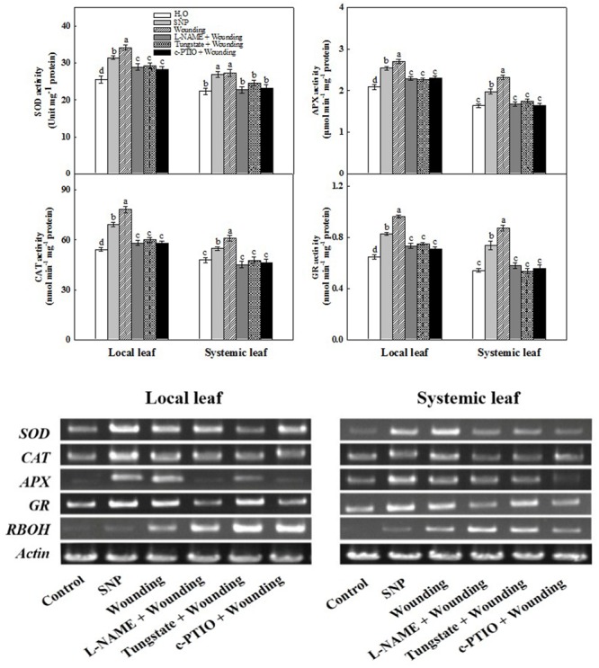 FIGURE 4