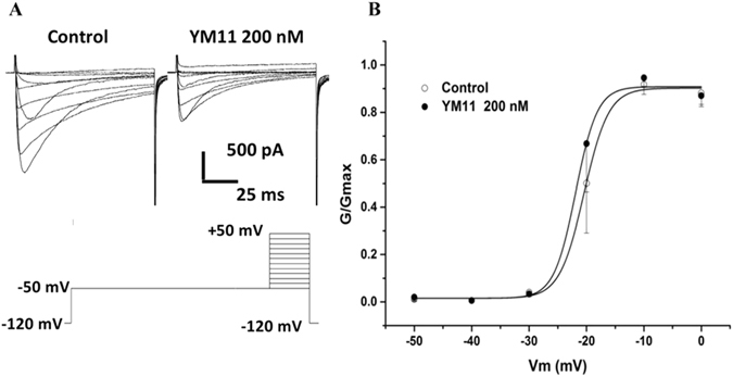 Figure 14