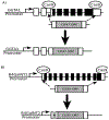 Figure 7: