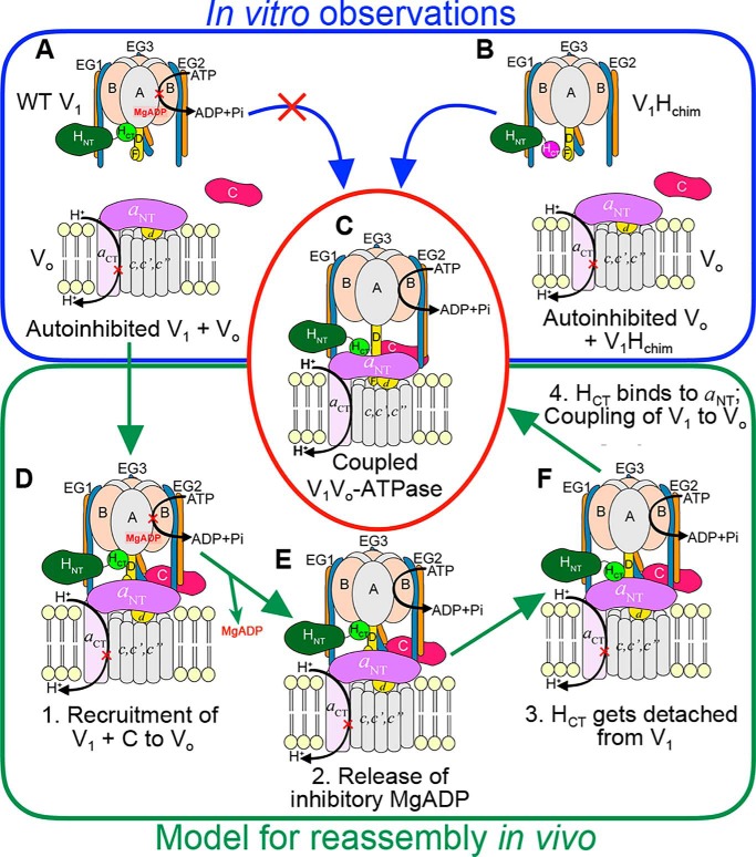 Figure 5.