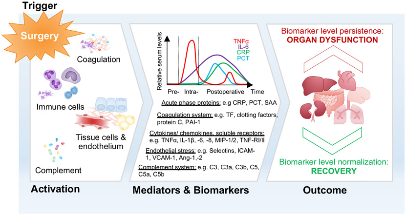 Figure 4: