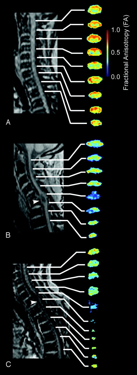 Fig 1.