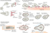 Fig. 4 |