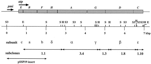 FIG. 1.