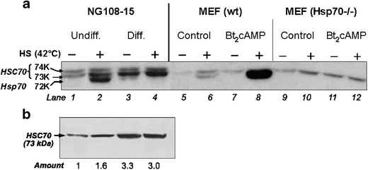 Fig. 5