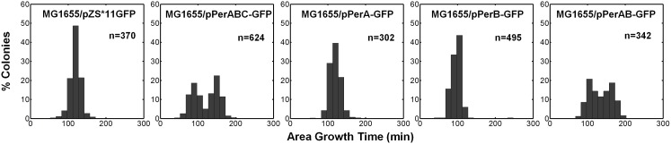 Figure 5—figure supplement 2.