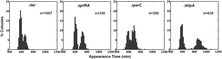 Figure 4—figure supplement 1.