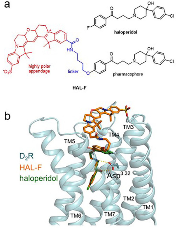 Figure 1.