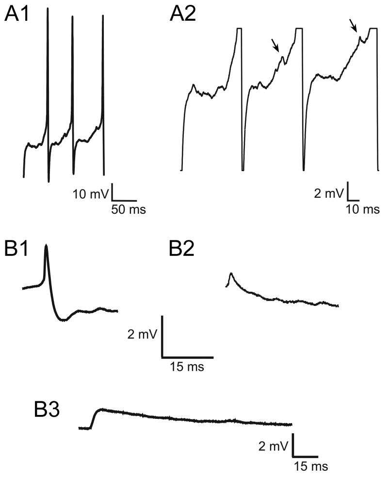 Fig. 10