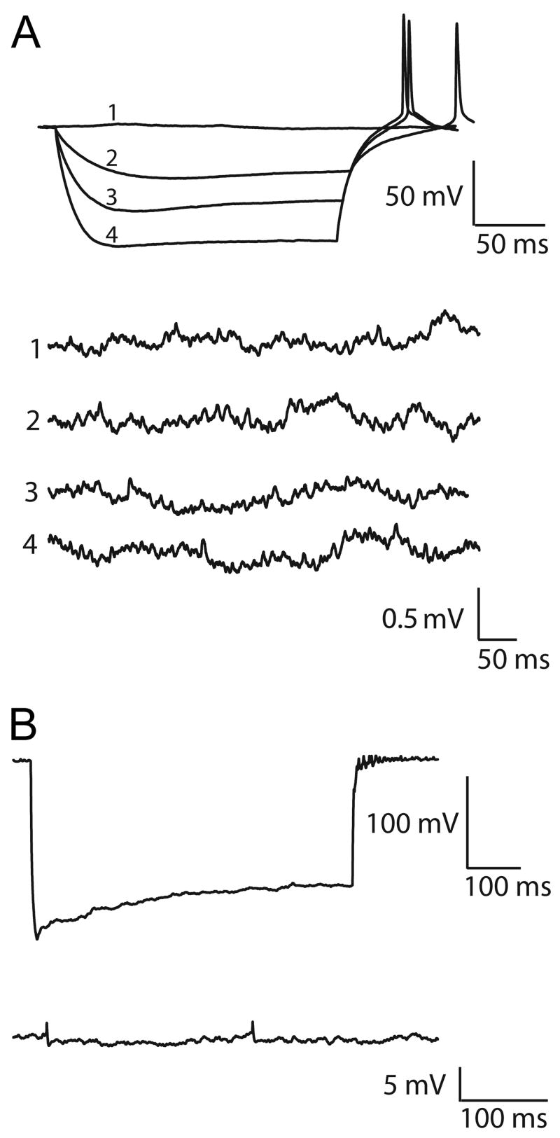 Fig. 12