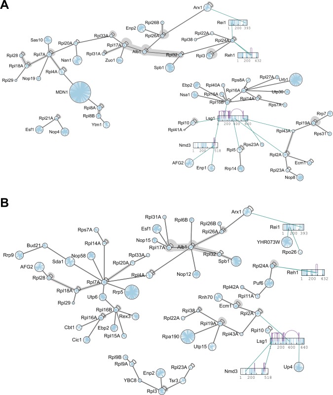 Figure 1—figure supplement 5.