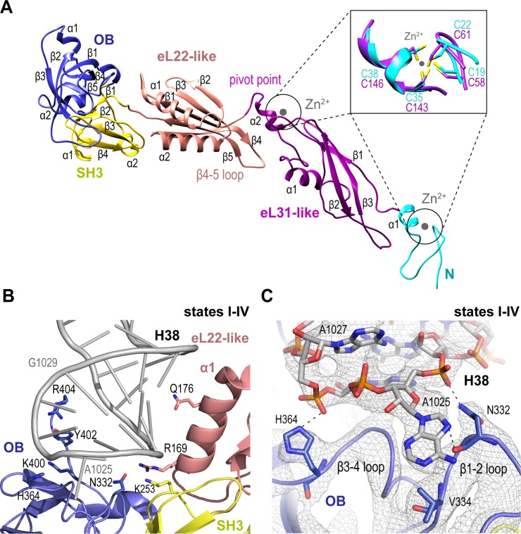 Figure 2.