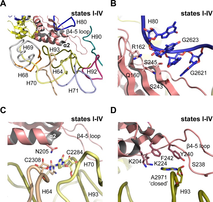 Figure 5.