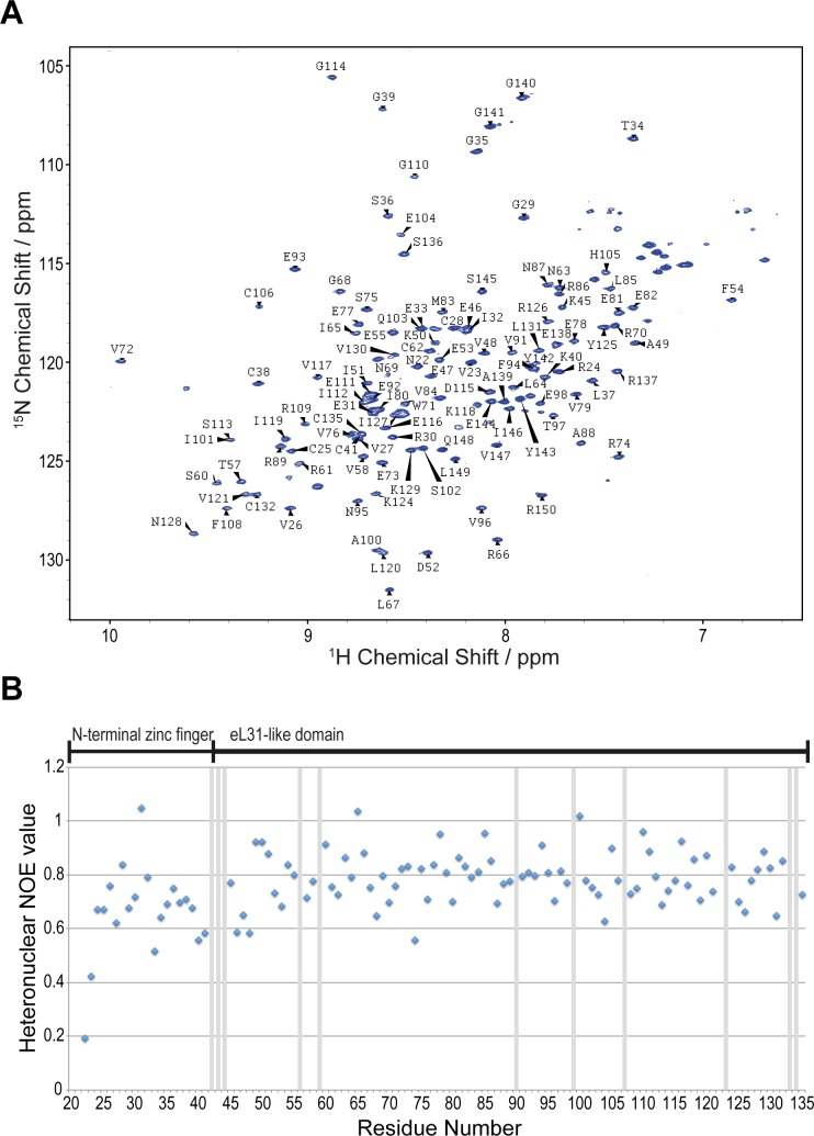 Figure 3—figure supplement 1.