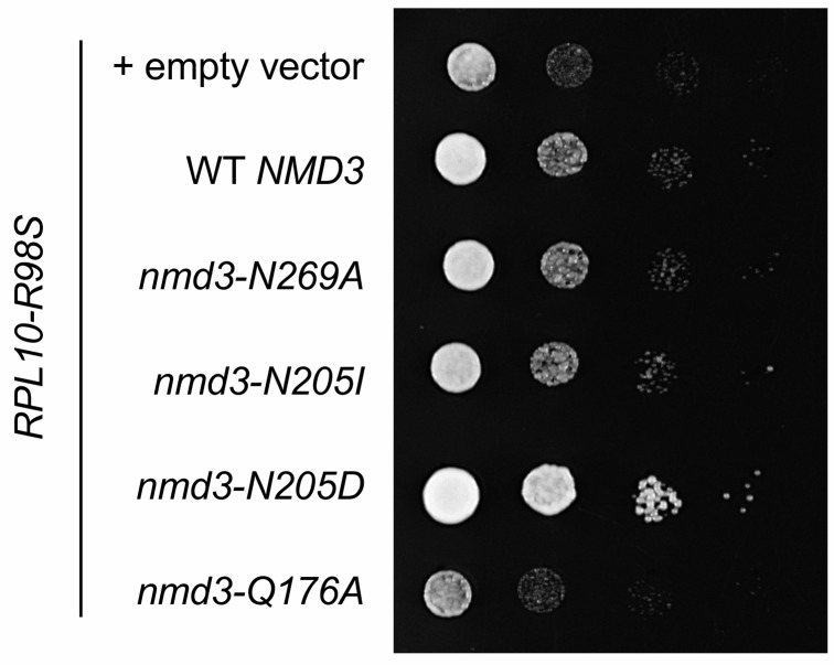 Figure 6—figure supplement 4.