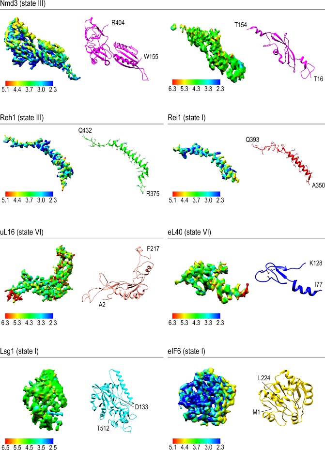 Figure 1—figure supplement 4.