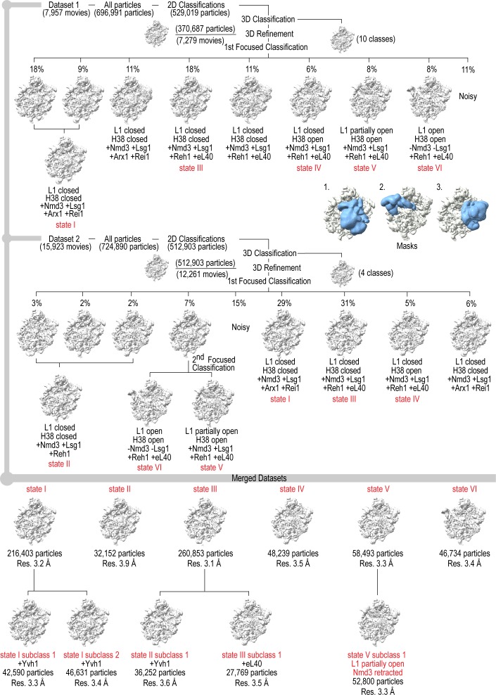 Figure 1—figure supplement 2.