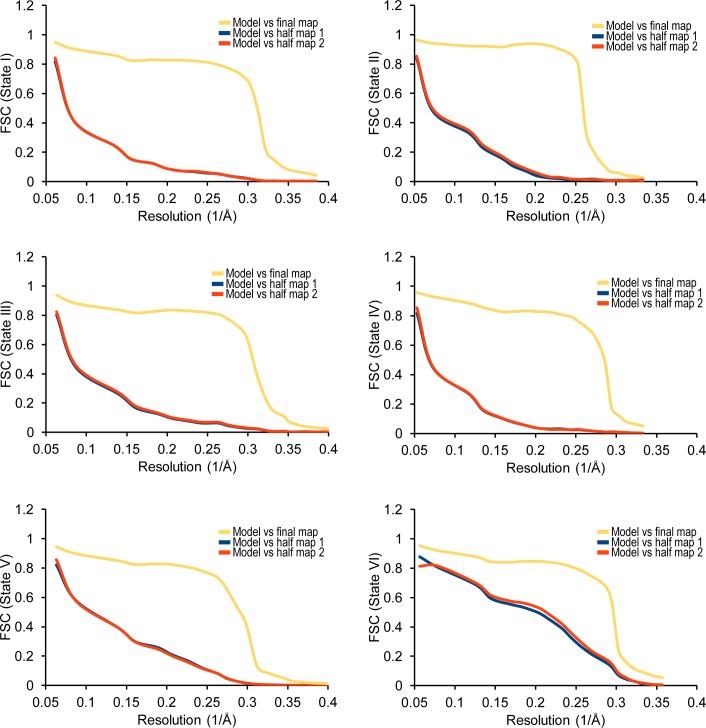 Figure 1—figure supplement 3.