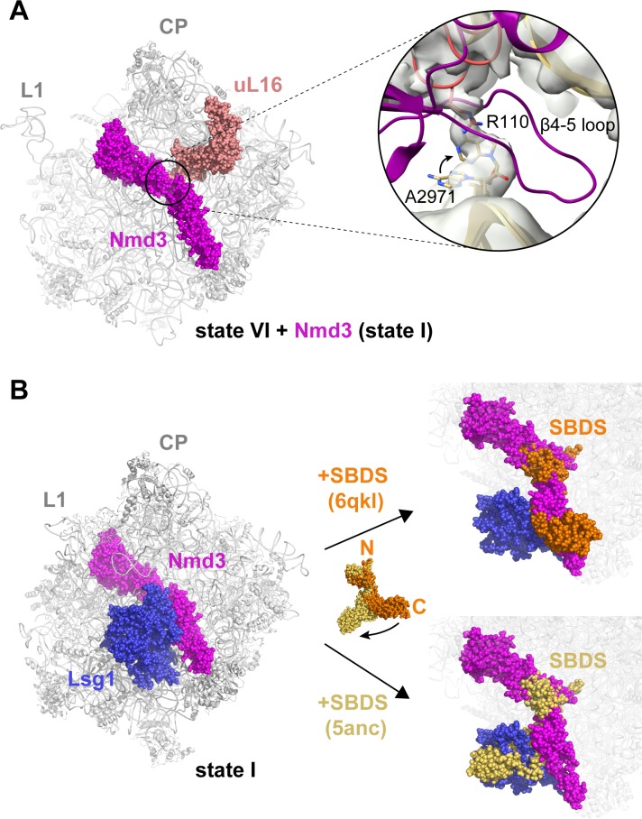 Figure 6—figure supplement 2.