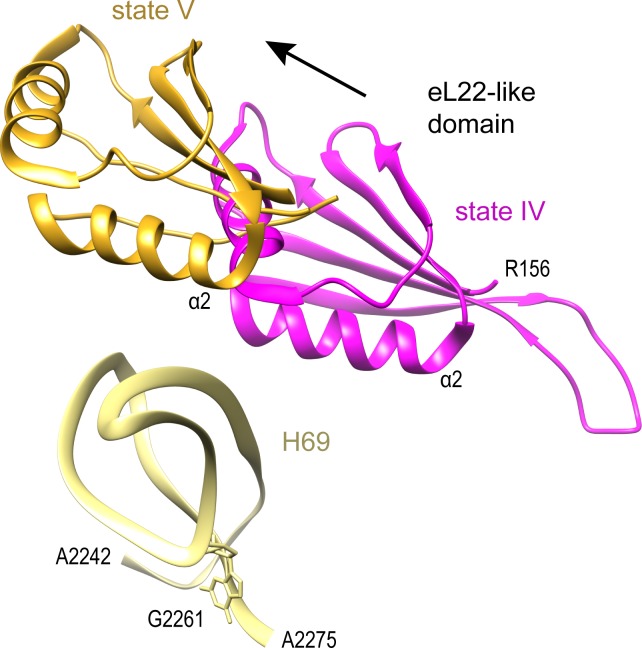 Figure 6—figure supplement 1.