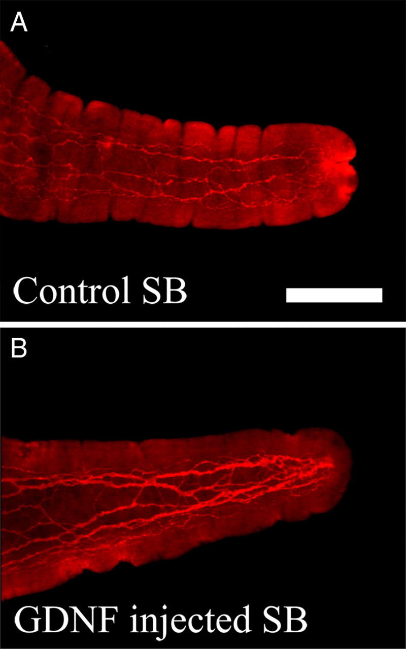 Figure 7.