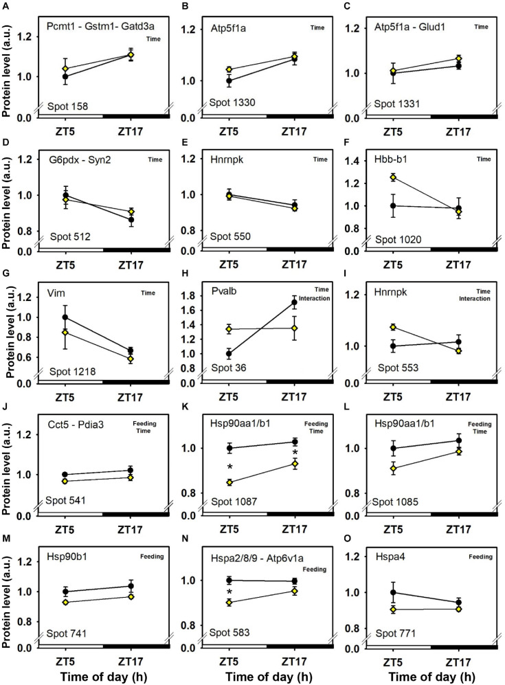 FIGURE 3