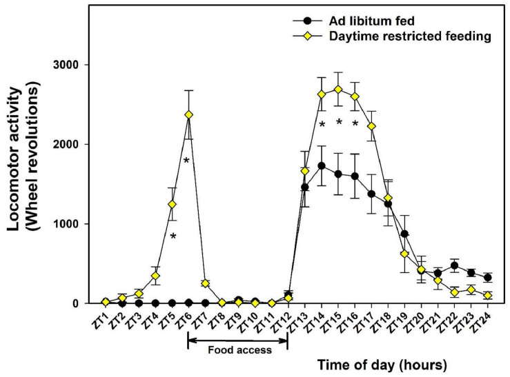 FIGURE 1