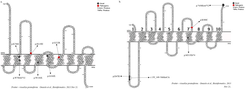 Fig 1