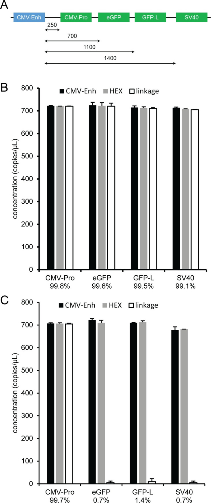 Fig 10