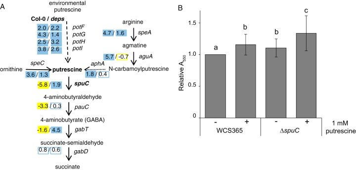 Fig 6