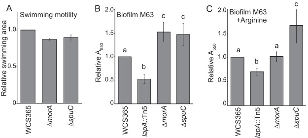 Fig 4