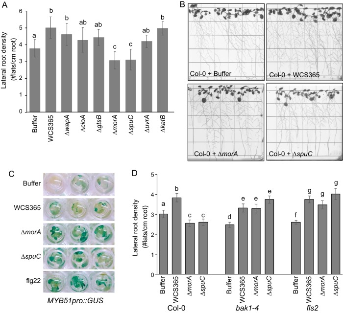 Fig 3