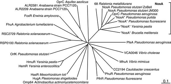 FIG. 6.