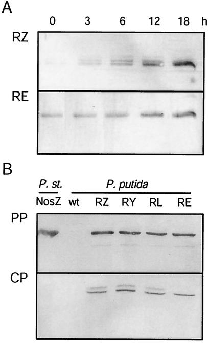 FIG. 3.