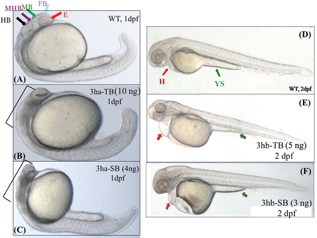 FIG. 5