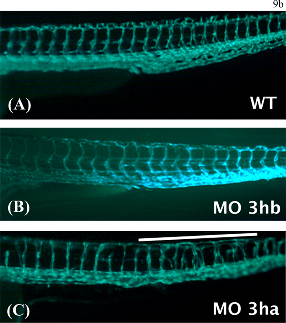 FIG. 9