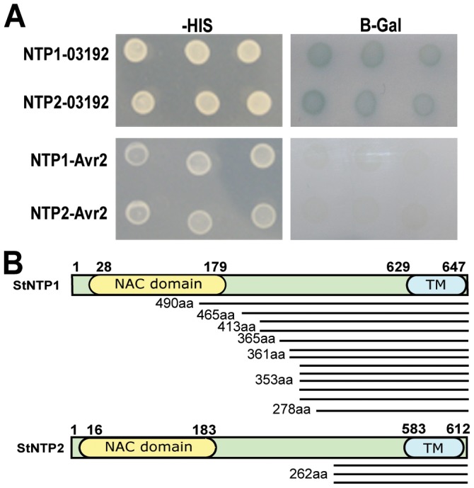 Figure 2