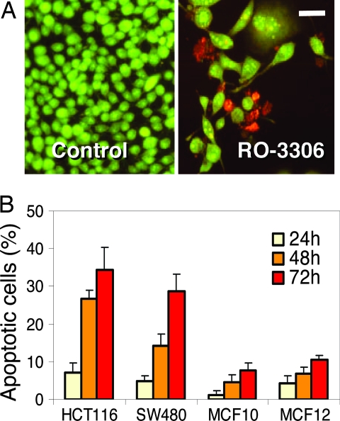 Fig. 6.