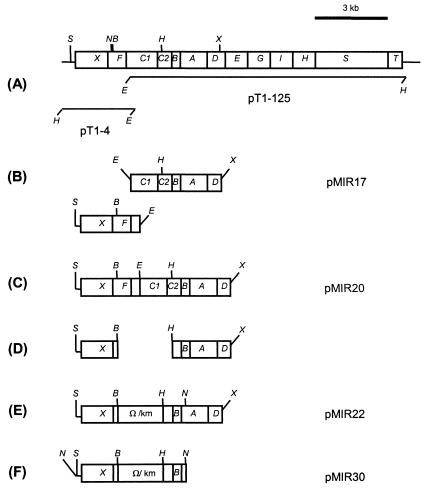 FIG. 2.