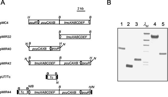 FIG. 3.