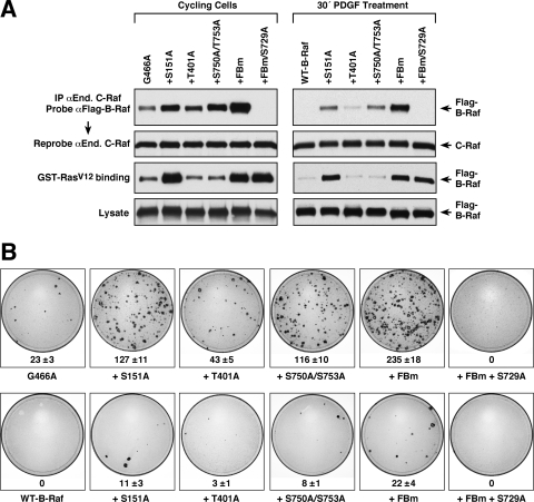 FIG. 6.