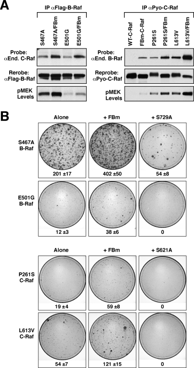 FIG. 8.